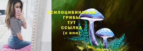 прущая мука Богданович