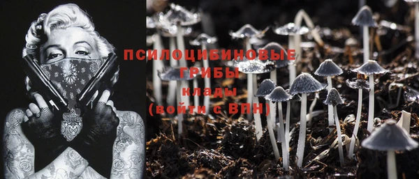 первитин Горнозаводск