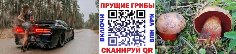 Псилоцибиновые грибы Magic Shrooms  кракен как зайти  Минеральные Воды 